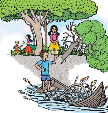 নৌকো ভরা কত মাছ