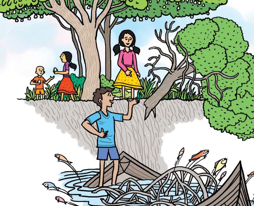 নৌকো ভরা কত মাছ